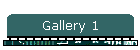 Gallery 1